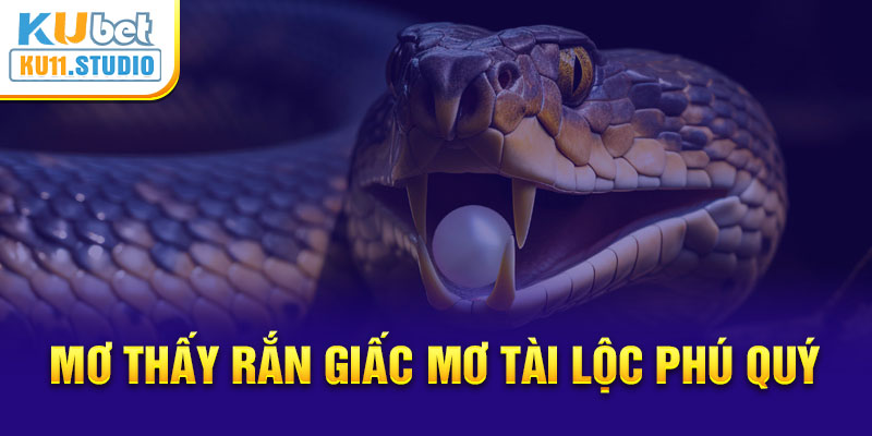 Mộng thấy rắn là giấc mơ tài lộc phú quý