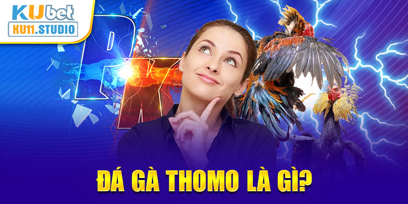 Đá gà Thomo là gì