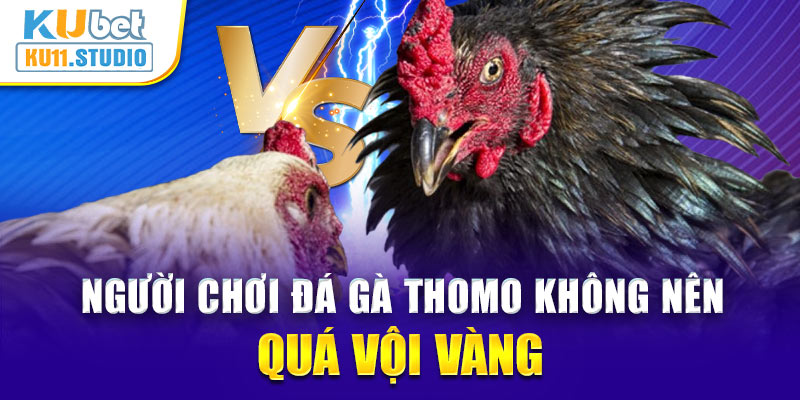 Người chơi đá gà Thomo không nên quá vội vàng