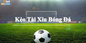 Tìm hiểu về kèo tài xỉu bóng đá